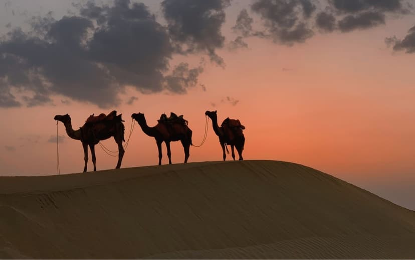 Rajasthan Palaces